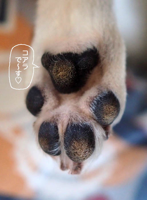 14日夜ブログ３