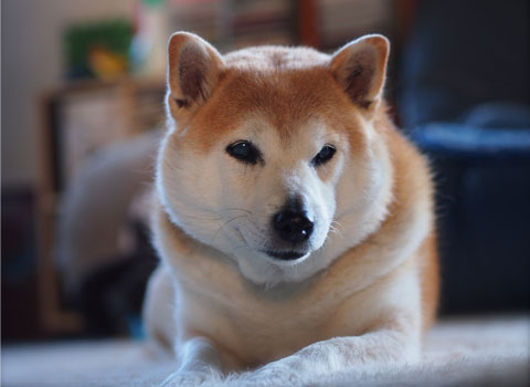 27日ブログ4.jpg