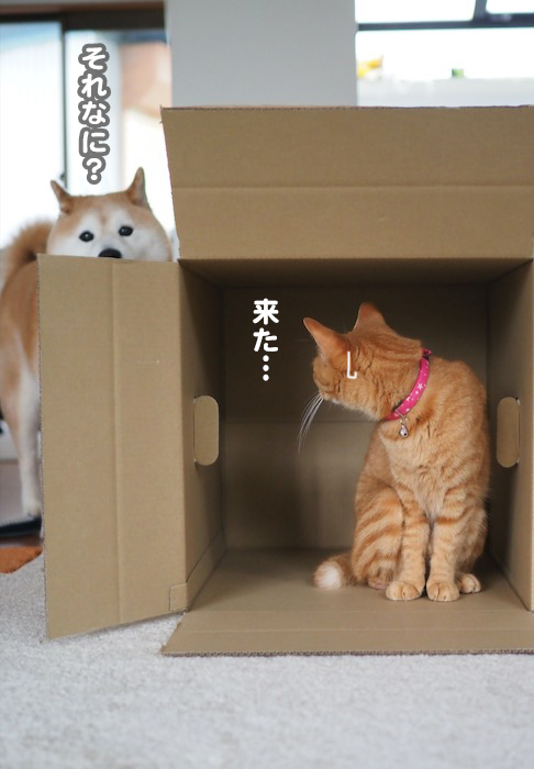 2日夕ブログ４