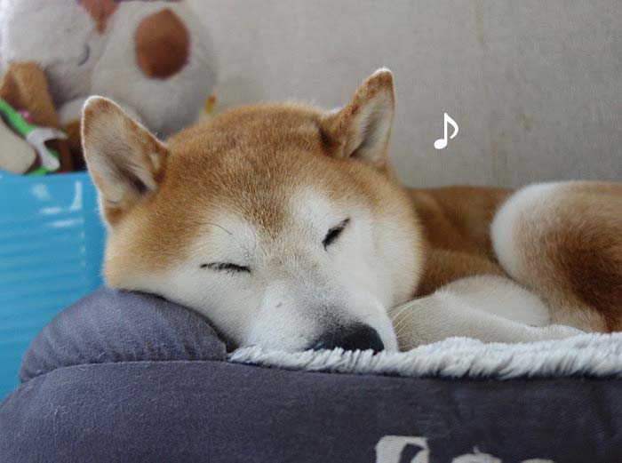 27日夜ブログ２