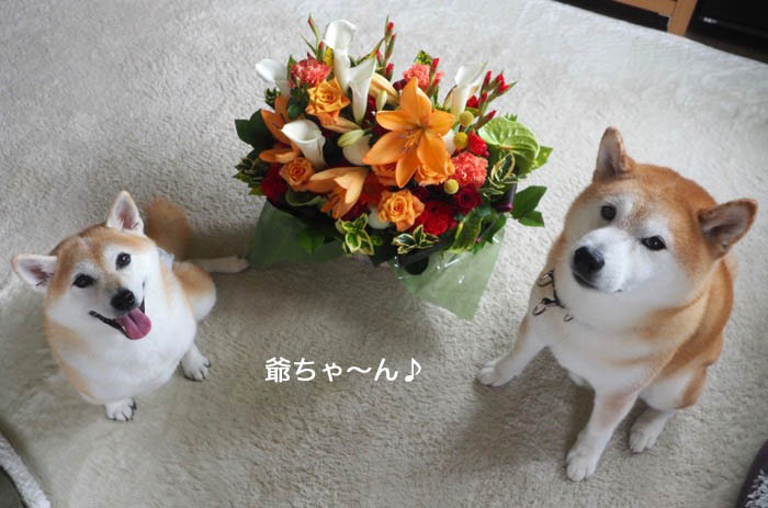 18日夕ブログ１1