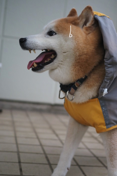 12日夕ブログ２