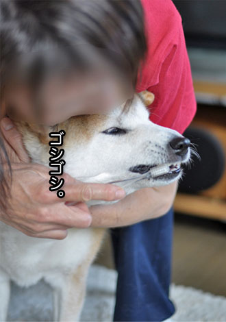 28日ブログ9.jpg