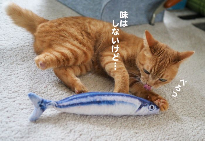 18日夕ブログ9
