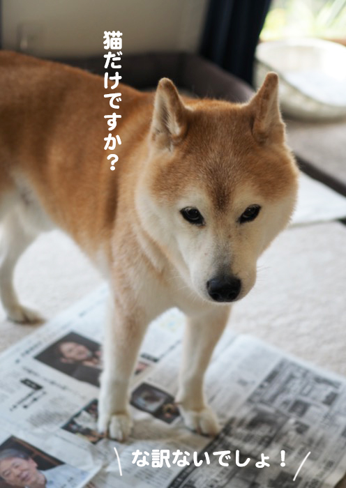 30日ブログ３