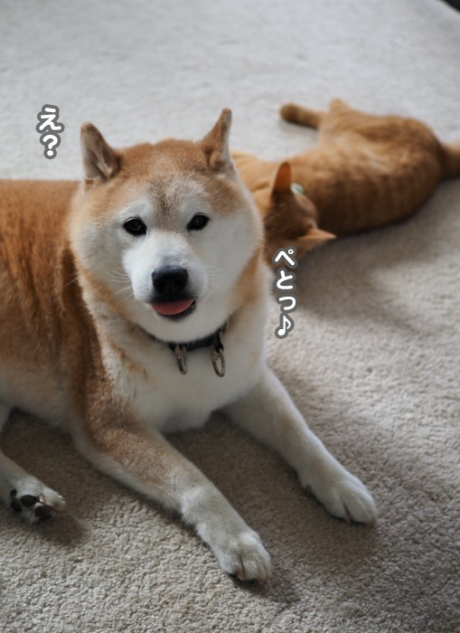 12日夕ブログ２