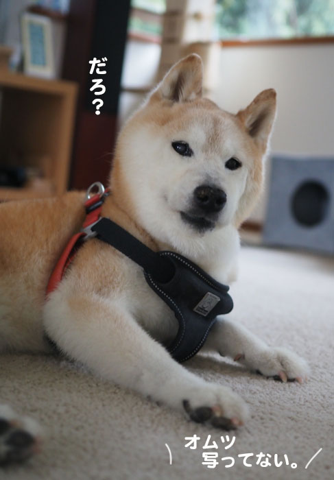 1日夕ブログ5
