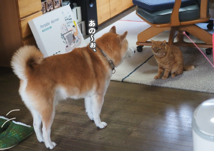 5日ブログ１