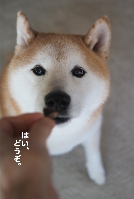 17日ブログ３
