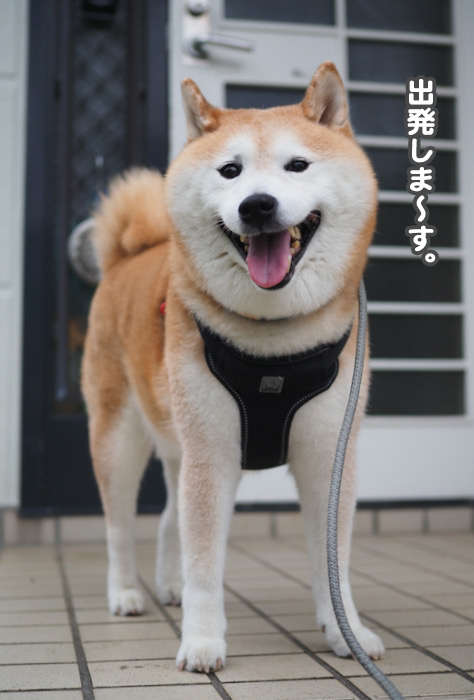 8日夕ブログ２