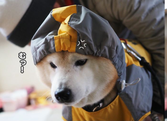 3日夜ブログ５