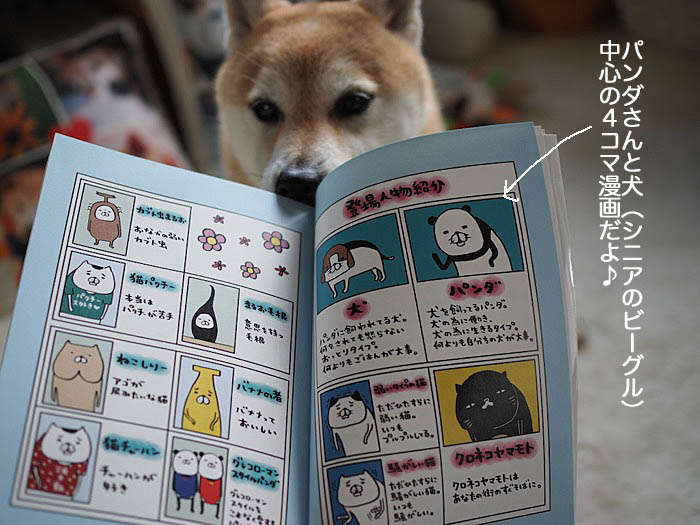 16日夜ブログ３