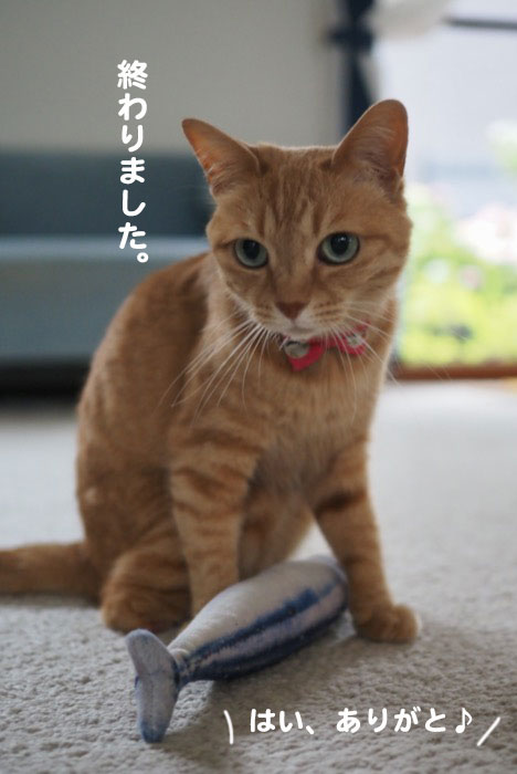 9日夕ブログ７