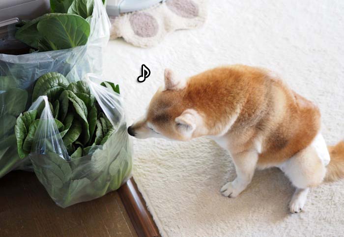 1日夜ブログ３