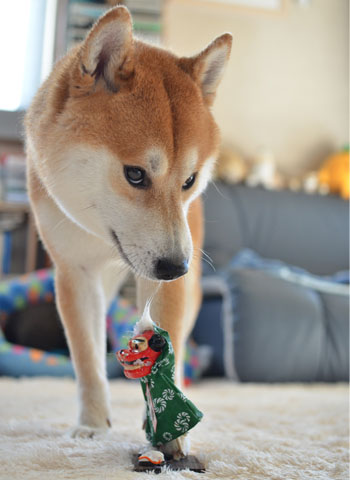 3日ブログ14.jpg