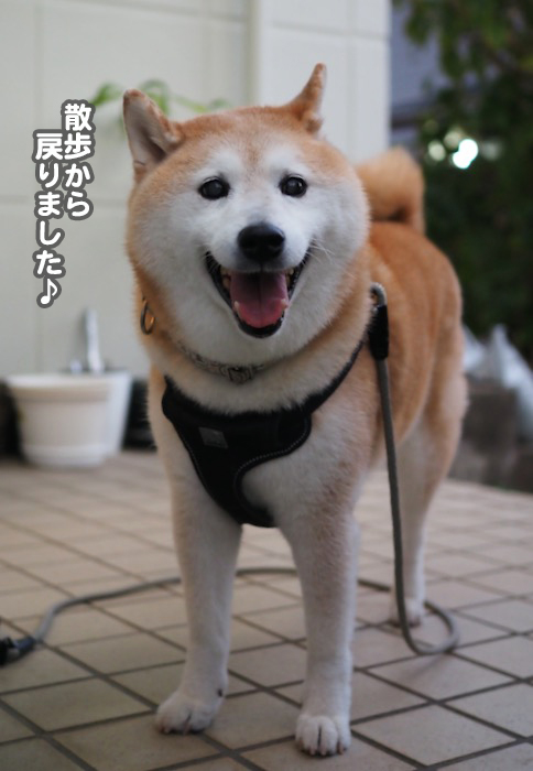 13日夕ブログ３