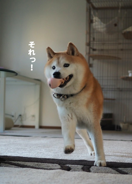 24日夕ブログ５