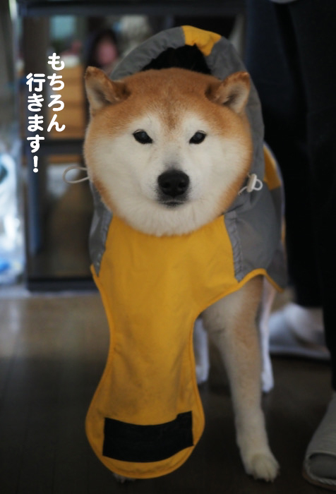 1日のブログ２