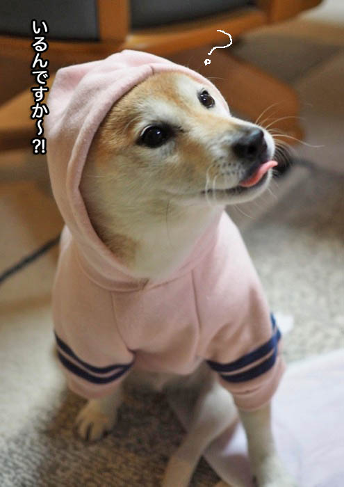 17日ブログ８