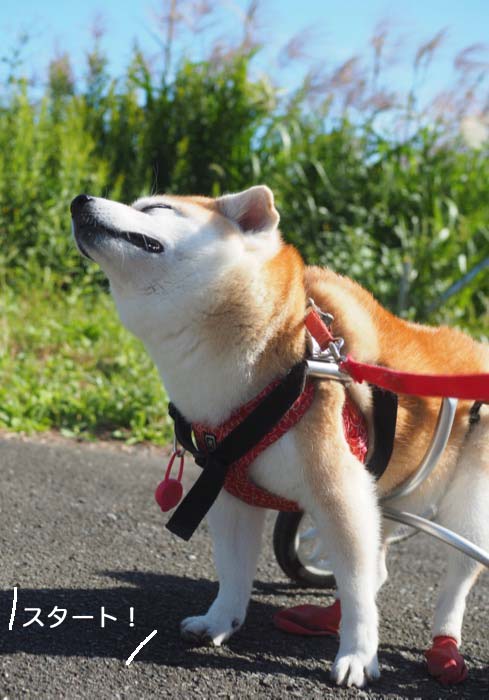 8日夕ブログ７