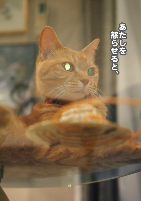 6日夕ブログ４