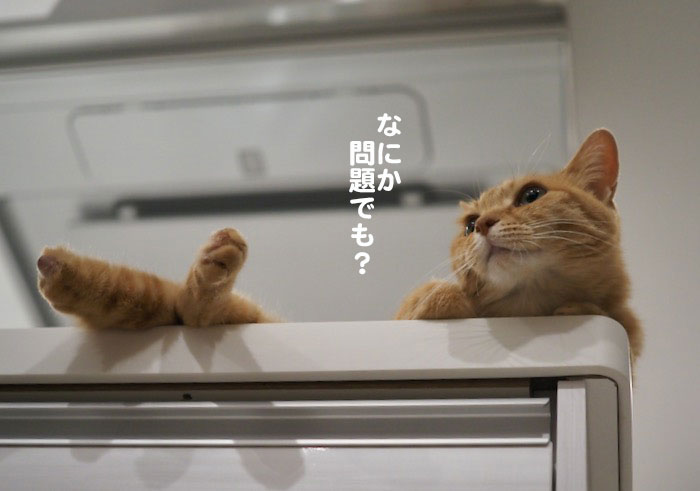 21日ブログ3