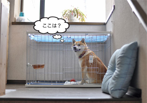 25日ブログ4.jpg