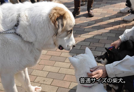 4日ブログ25.jpg