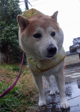 6日ブログ4.jpg