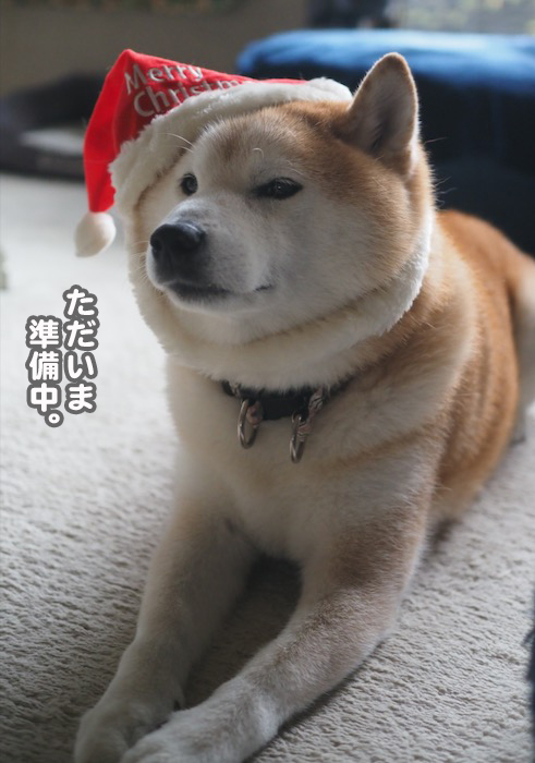 15日夕ブログ６