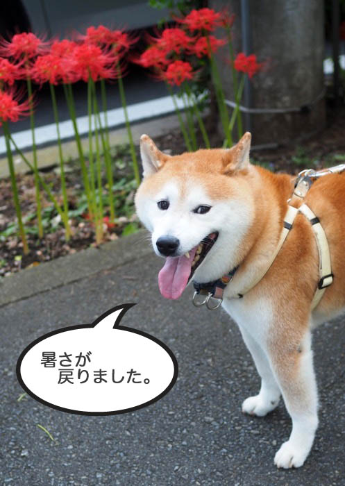 23日ブログ２
