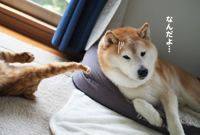 22日ブログ２