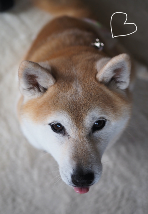 10日ブログ６