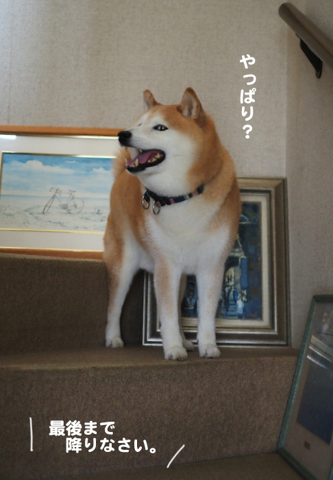 20日夕ブログ１２