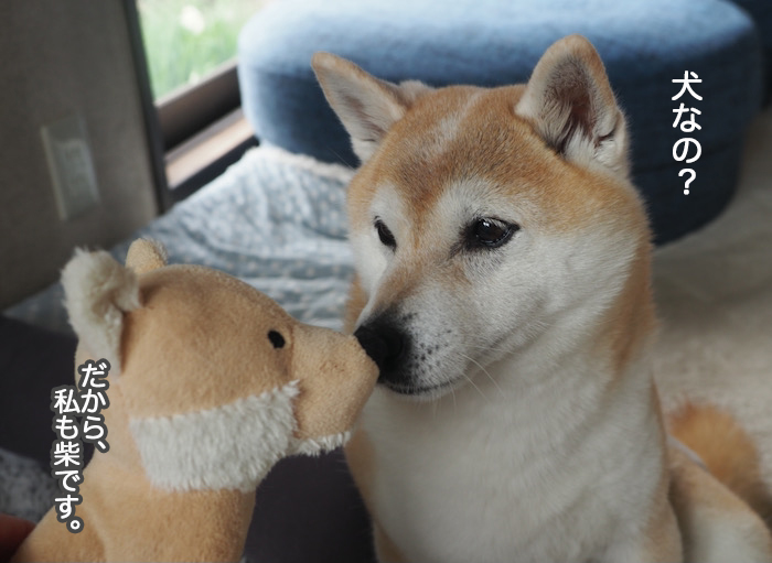 28日ブログ２