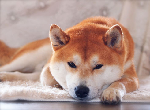 21日ブログ9.jpg
