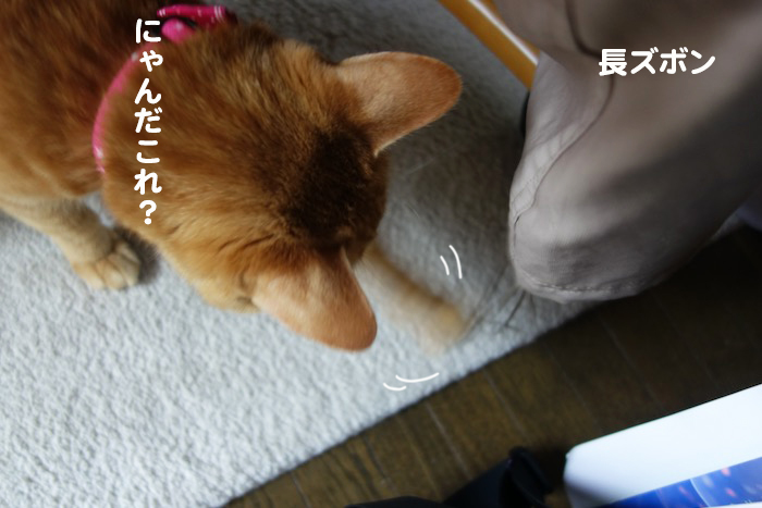 23日ブログ２