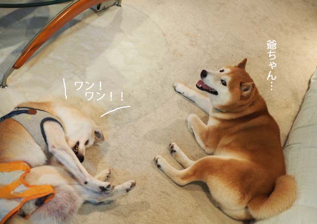 5日ブログ2