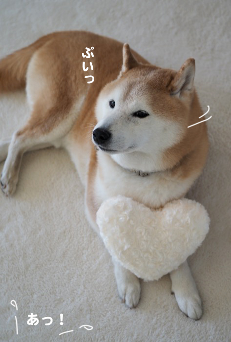 15日夕ブログ２