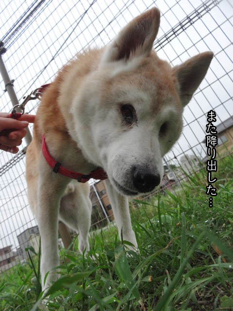 24日ブログ9