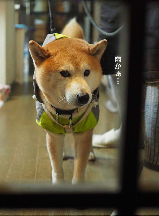 8日ブログ２
