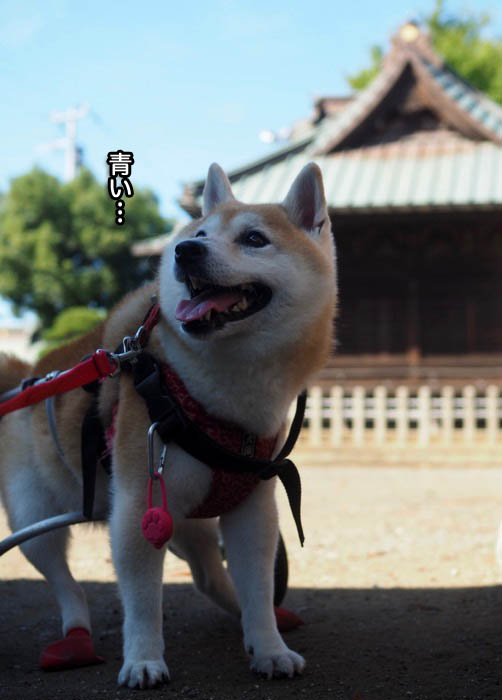 9日ブログ４