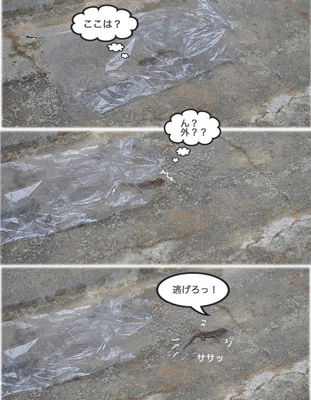 9日ブログ10