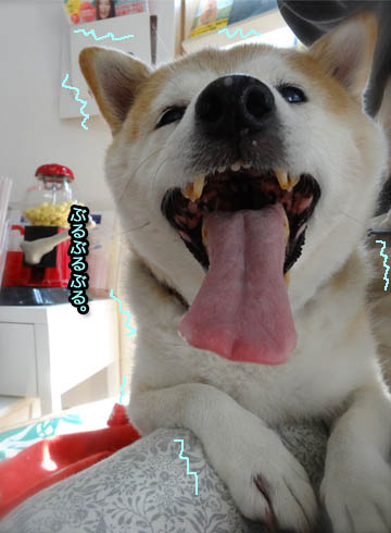 31日ブログ11.jpg