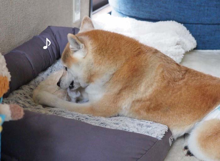 23日午前ブログ８