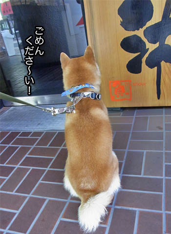 30日ブログ20.jpg