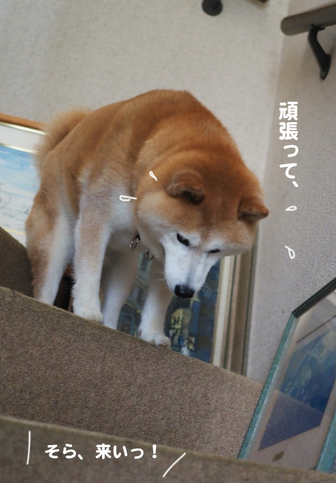 20日夕ブログ１４