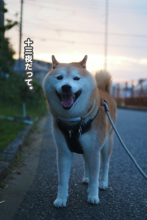 27日夕ブログ２
