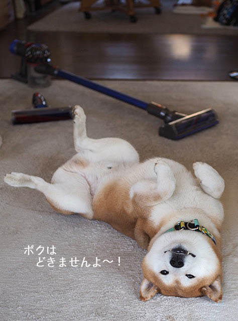 14日ブログ5