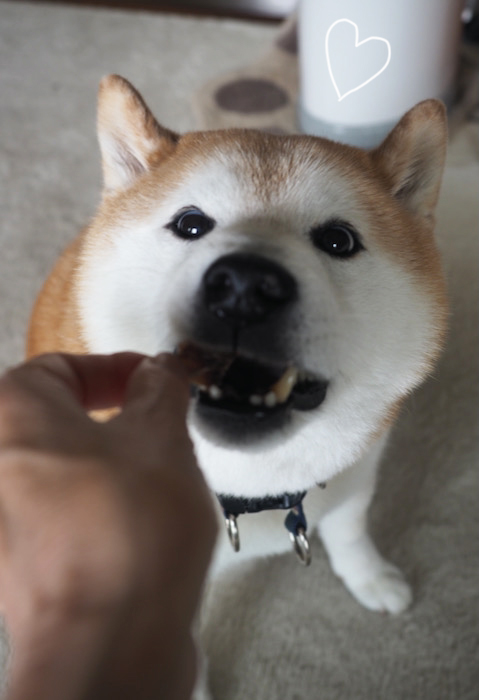 23日夕ブログ１０
